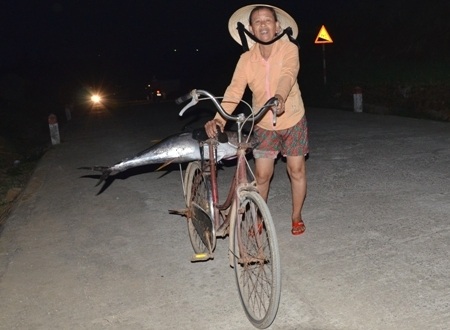 Người dân mua cá về ăn Tết. Một con cá thế này mua tại bến có giá trên dưới 1 triệu đồng.