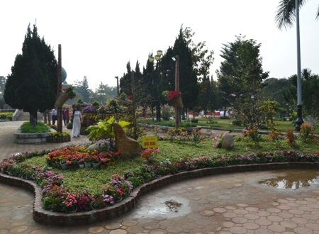 "Ngôn ngữ" vườn hoa xuân qua 25 tiểu cảnh - 11 Tiểu cảnh Đồi mai.