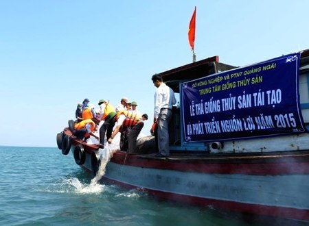 Thả hơn 1,2 triệu con tôm sú ra biển tự nhiên - 1 Thả tôm giống sú ra môi trường biển tự nhiên.