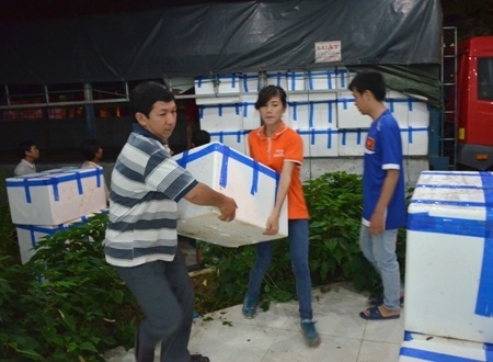 Vận chuyển vải thiều Lục Ngạn xuyên đêm tại Quảng Ngãi.