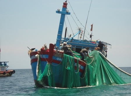 Loại tàu cá dùng lưới cào đang tận diệt nguồn hải sản ven bờ biển Lý Sơn.