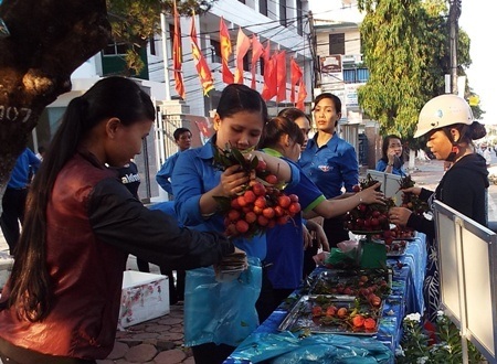 Tỉnh đoàn Quảng Ngãi bán giúp nông dân Bắc Giang tiêu thụ 2,5 tấn vải thiều trước đó.