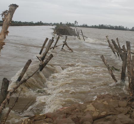Đê vỡ liên tiếp, nhiều tài sản bị nước nhấn chìm - 1 Đê vỡ liên tiếp, nhiều tài sản bị nước nhấn chìm - 1