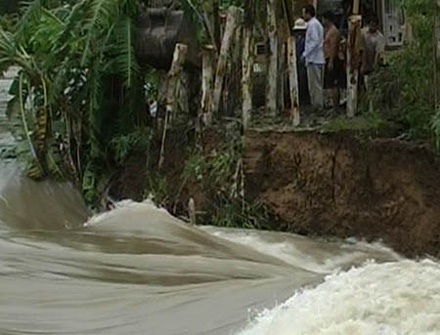 Nhiều đê bao giữ lúa đang bị lũ uy hiếp - 1