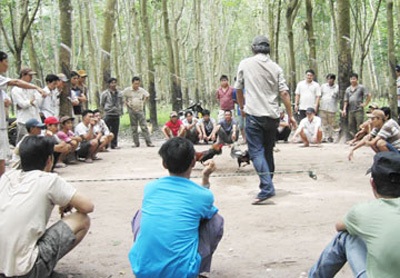 “Tổ hợp cờ bạc” ở Bình Dương: Sòng bạc tồn tại cả chục năm - 1 “Tổ hợp cờ bạc” ở Bình Dương: Sòng bạc tồn tại cả chục năm - 1