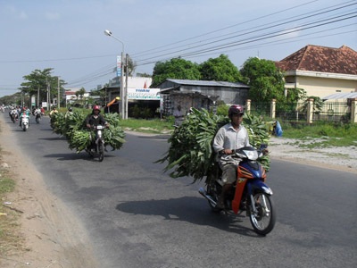 Nô nức lễ chùa đầu năm - 14