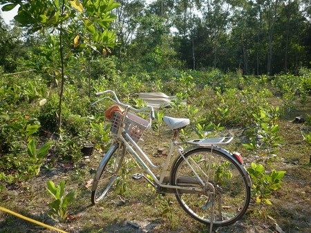 Bắt nghi phạm đâm chết nữ sinh lớp 8 đang mang bầu