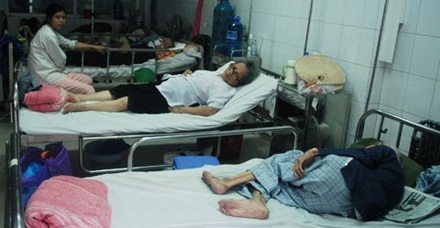 Bi hài trông người ốm thuê ở bệnh viện - 2 Nhu cầu thuê người chăm sóc người bệnh ngày càng cao, đặc biệt đối với các bệnh nhân cao tuổi