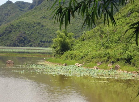 Hồ chứa nước Tuy Lai