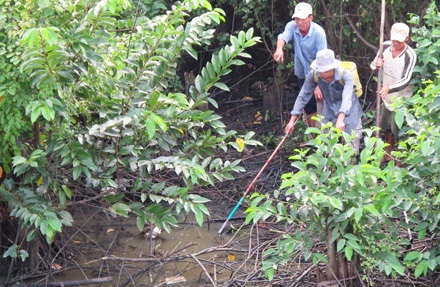 Rà điện tìm cá sấu sổng chuồng