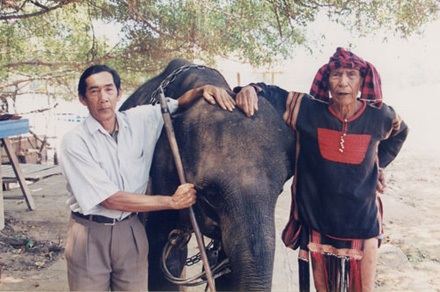 Tắt rồi, một huyền thoại về voi! - 5 Ama Kông (phải) cùng con trai Amare