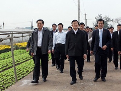 Chủ tịch nước Trương Tấn Sang thăm cánh đồng hoa của xã Tây Tựu