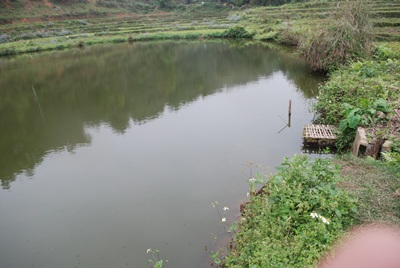 Khu ao cá hai cháu nhỏ chết đuối