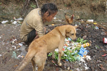Người điên và những câu hỏi cho người...tỉnh