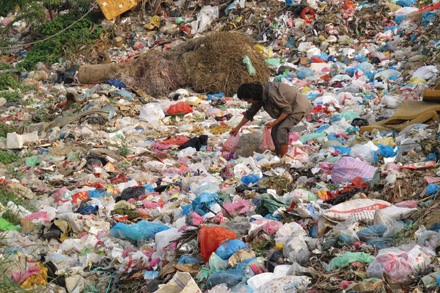 Người điên và những câu hỏi cho người...tỉnh