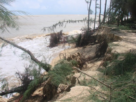 Sạt lở bờ biển và rừng dương gây bức xúc cho người dân ở xã Nghĩa An do hút cát