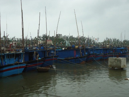 Bão 15 suy yếu nhanh, mưa hầu khắp các tỉnh Nam Bộ - 6 Tàu thuyền vào nơi tránh trú (Ảnh: Doãn Công)
