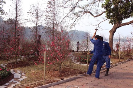 Hà Nội: Nhiều tuyến phố đang được “thay áo” đón Tết - 8 Nguyễn Dương