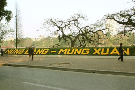 Hà Nội: Nhiều tuyến phố đang được “thay áo” đón Tết - 9 Nguyễn Dương