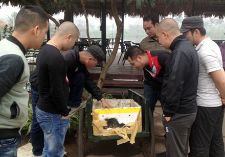 Nhiền người hiếu kỳ đến xem ba ba khủng