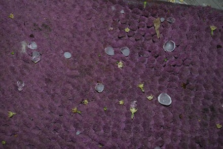 Mưa đá lại xuất hiện ở Lào Cai