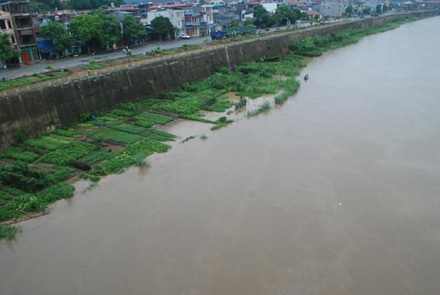 Lào Cai: Mưa dữ dội, nước sông Hồng dâng cao - 3 Lào Cai: Mưa dữ dội, nước sông Hồng dâng cao