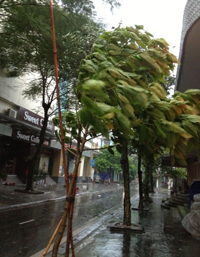 Hình ảnh tại thành phố Móng Cái sáng sớm nay