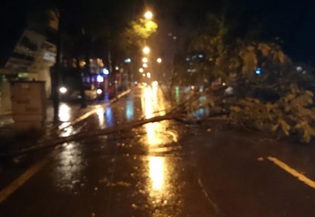 Cây đổ chắn ngang đường Lê Duẩn, HǠ Nội (Ảnh: Nguyễn Dương)