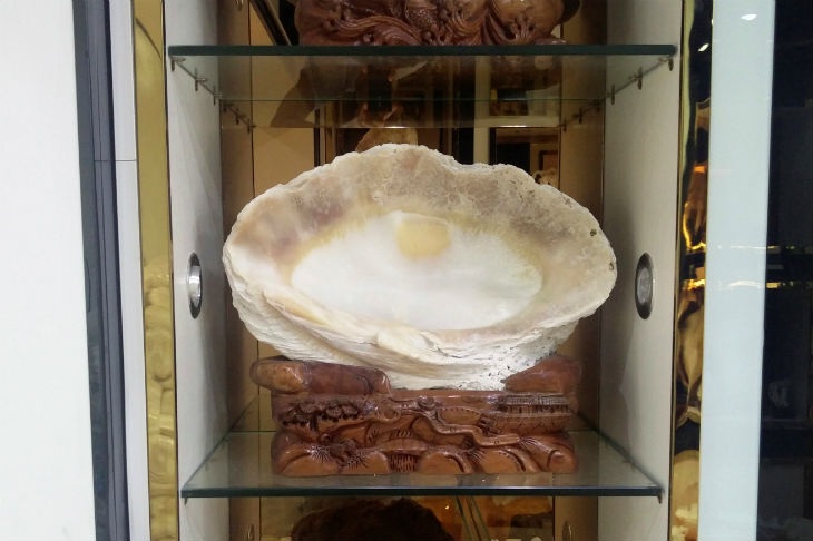 Ngư dân Trung Quốc giàu lên từ tàn phá hệ sinh thái Biển Đông - 1 Vỏ những con trai khổng lồ là đồ mỹ nghệ rất được giới nhà giàu Trung Quốc ưa thích. (Ảnh: RT)