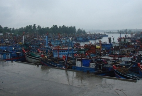 Cảng cá Tịnh Hòa tiếp nhận khoảng 200 tàu thuyền vào nơi trú bão an toàn