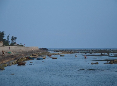 Bảo vệ và bảo tồn sinh vật biển là yêu cầu cấp thiết vùng ven đảo Lý Sơn trong thời điểm hệ sinh thái đang dần cạn kiệt.