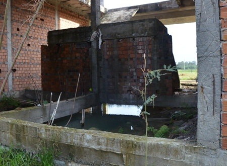 Xây dựng trung tâm dạy nghề kiểu mẫu cho... bò rong chơi - 7