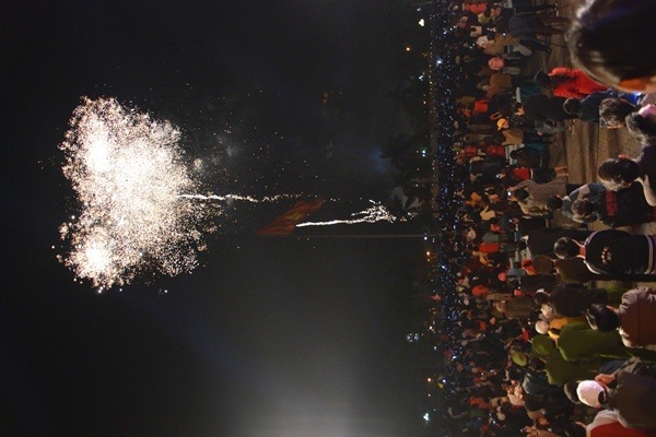 Pháo "nở hoa" trên bầu trời chào năm mới Bính Thân - 28