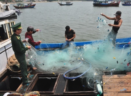 Lực lượng biên phòng đang kiểm tra số lưới bị chặt phá.