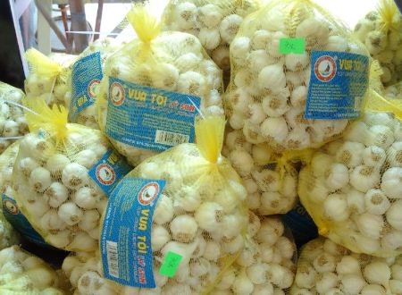 Khan hiếm tỏi Lý Sơn, mỗi kg tỏi 1 gần nửa chỉ vàng - 3 Tỏi Lý Sơn đóng nhãn mác được bán với giá đắt hơn với nửa kg tỏi thường là 70.000 đồng.