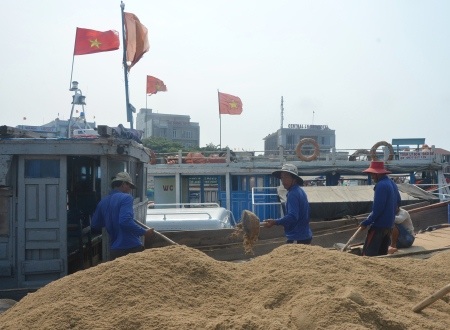Cát được nhập từ đất liền ra đảo.
