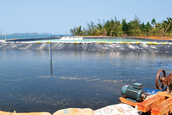 Nạn nhân bị cuốn vào máy sục khí hồ tôm dẫn đến tử vong.