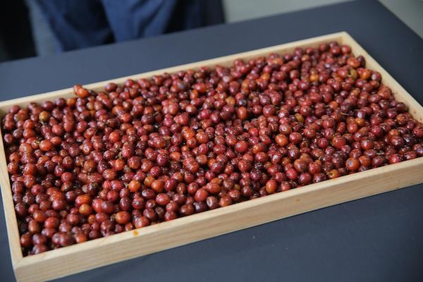 Vpresso ra mắt 7 dòng cà phê rang xay độc đáo - 2 Vpresso sử dụng những loại cà phê tốt nhất của Việt Nam được trồng tại khu vực Đà Lạt để chế biến.