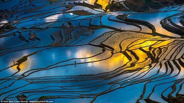 Ruộng bậc thang mùa nước đổ ở Trung Quốc đẹp như tranh - 1 Ruộng bậc thang mùa nước đổ ở Trung Quốc đẹp như tranh - 1