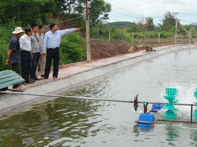 Lão nông làm gì cũng...lãi lớn - 1
Anh Phạm Văn Tân giới thiệu hệ thống đầm nuôi tôm thẻ chân trắng bán công nghiệp của gia đình. Ảnh: h.a.t