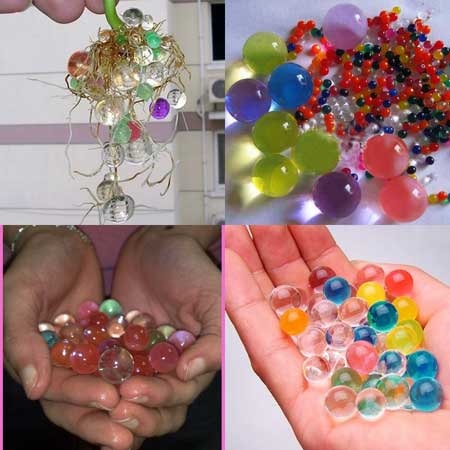 Hà thành, cơn sốt, cây cảnh, đất nặn, trồng cây, Hà Nội, Hà-thành, cơn-sốt, cây-cảnh, đất-nặn, trồng-cây, Hà-Nội, Hà thành, cơn sốt, cây cảnh, đất nặn, trồng cây, Hà Nội, Hà-thành, cơn-sốt, cây-cảnh, đất-nặn, trồng-cây, Hà-Nội,
