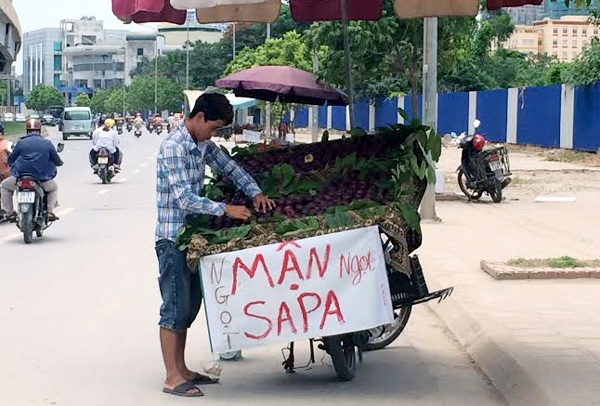 Mận tím Sapa vẫn được bày bán tràn lan tại Hà Nội mặc dù đã hết mùa cách đây gần 2 tháng