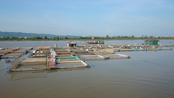 Tỷ phú 25 tuổi với thu nhập khủng 6-7 tỷ đồng - 1 “Ty phu” tuoi 25 voi thu nhap dang kinh ngac tu ca chep gion