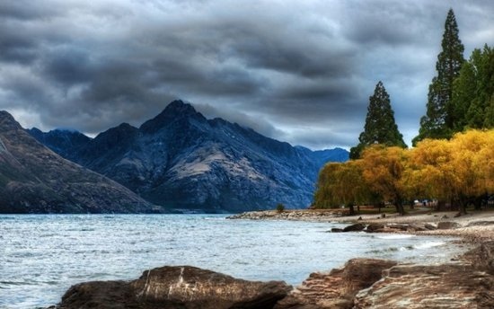 Năm 2011, một người đàn ông đến từ Australia đã chào bán đấu giá New Zealand trên mạng.