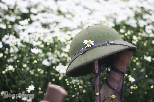 Ngắm thiếu nữ Hà thành đẹp mong manh bên cúc họa mi - 13