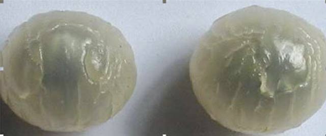 5 dấu hiệu nhận biết nhãn lồng Hưng Yên "xịn" - 2 - 2