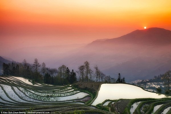Ruộng bậc thang mùa nước đổ ở Trung Quốc đẹp như tranh - 2 Ruộng bậc thang mùa nước đổ ở Trung Quốc đẹp như tranh - 2