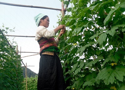 Khám phá bản “hồng hoang” ngủ quên trên độ cao 2000 mét - 2 Khám phá bản “hồng hoang” ngủ quên trên độ cao 2000 mét - 2