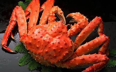 Đồ ăn sang của người Hà Nội lắm tiền - 2
Cua hoàng đế Alaska dù giá cả rất đắt nhưng vẫn được nhiều người tìm mua.