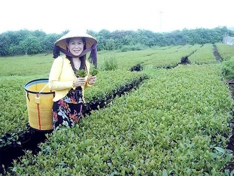 Bộ Công an vào cuộc vụ doanh nhân Hà Linh chết bất thường - 1
Nữ doanh nhân Hà Linh.
